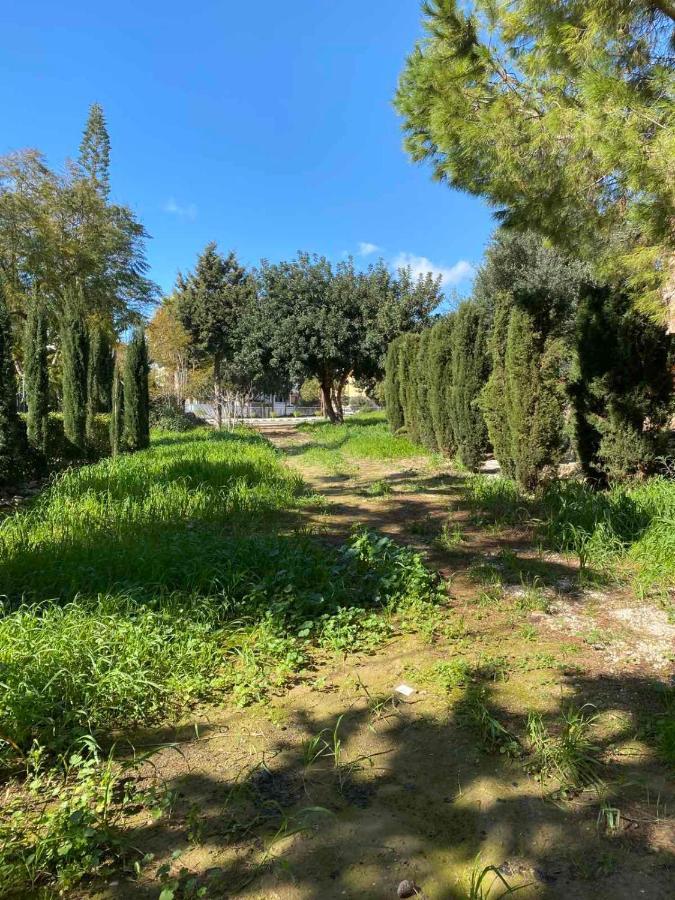 Limnaria Gardens K203 In Paphos公寓 外观 照片